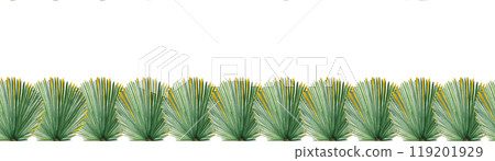 Palm leaf green and gold hand painted watercolor seamless border isolated on white. High quality image perfect for cards, banners, stickers, Christmas decoration design. Exotic plants clip art Palm leaf green and gold hand painted watercolor seamless border isolated on white. High quality image perfect for cards, banners, stickers, Christmas decoration design. Exotic plants clip art 119201929