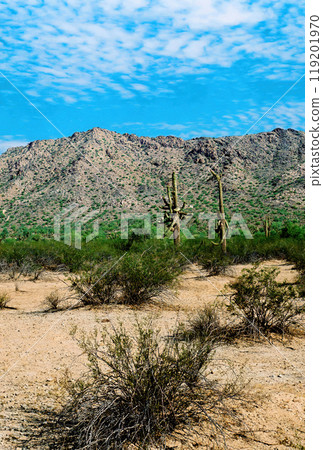 San Tan Mountains Sonora Desert Arizona On Film 119201970