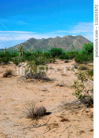 San Tan Mountains Sonora Desert Arizona On Film 119201972