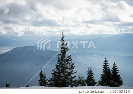Snowy winter landscape with trees in foreground and mountains and foggy valley in background Snowy winter landscape with trees in foreground and mountains and foggy valley in background 119202110