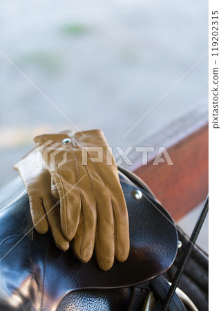Beige leather gloves on a saddle for a horse Beige leather gloves on a saddle for a horse 119202315