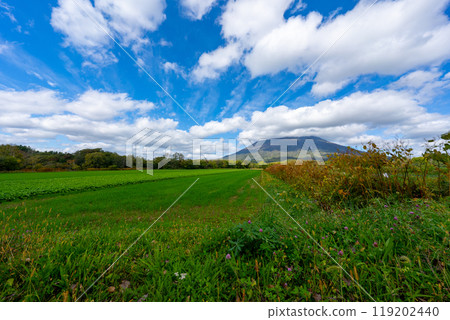 通往羊蹄山的北海道公路風景 119202440