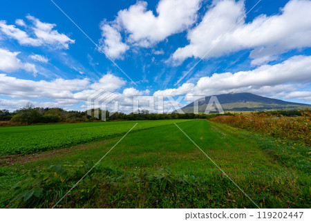 通往羊蹄山的北海道公路風景 通往羊蹄山的北海道公路風景 119202447