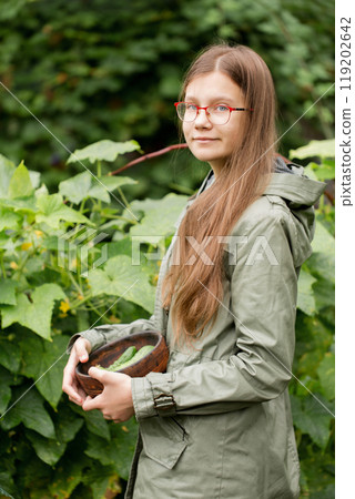 A teenage girl in a jacket harvests cucumbers in an autumn garden A teenage girl in a jacket harvests cucumbers in an autumn garden 119202642