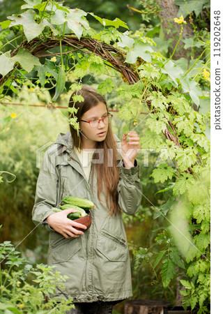 A teenage girl harvests a harvest and looks at the fruit of a momordica in an autumn garden in surprise A teenage girl harvests a harvest and looks at the fruit of a momordica in an autumn garden in surprise 119202648