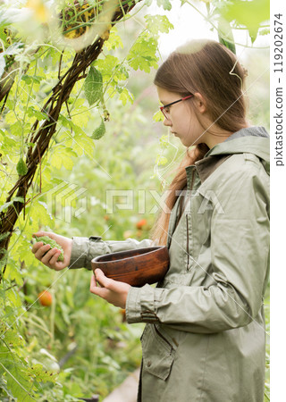 A teenage girl harvests momordica A teenage girl harvests momordica 119202674