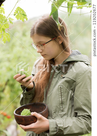 A teenage girl looks at the momordica fruit with interest A teenage girl looks at the momordica fruit with interest 119202677