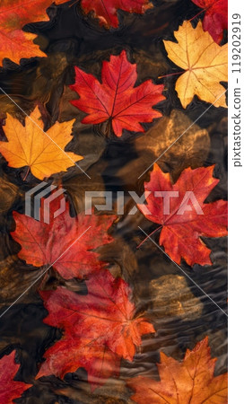 Colorful Autumn Leaves Floating on Water Colorful Autumn Leaves Floating on Water 119202919