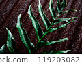 Diagonal leaves and magenta background 119203082