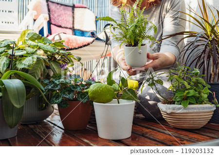 woman takes care of plants, houseplants, flowerpots, flowers, waters, sprays, on an open terrace, woman takes care of plants, houseplants, flowerpots, flowers, waters, sprays, on an open terrace, 119203132