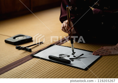 外國女子寫書法 外國女子寫書法 119203267