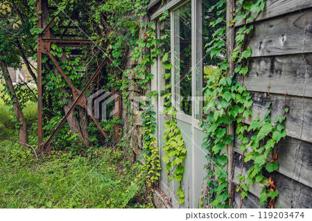 Desolate landscape Desolate landscape 119203474