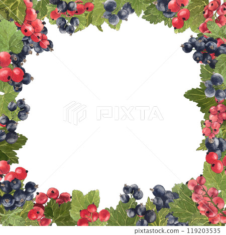 Frame watercolor of delicious black and red currant and their leaves. Botanical illustration. 119203535
