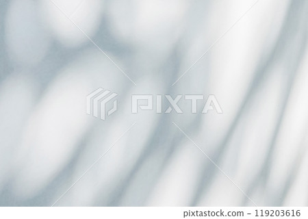 Abstract natural tree leaves shadow on white wall background 119203616