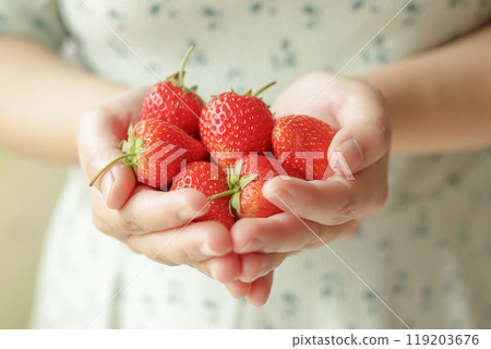 Woman hands holding fresh red strawberries close up 119203676