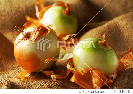 去皮洋蔥 去皮洋蔥 119203698