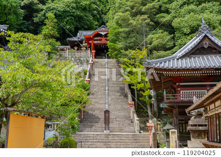 View of the Gongen Hall of Rendaiji Temple on Mount Yuka 119204025