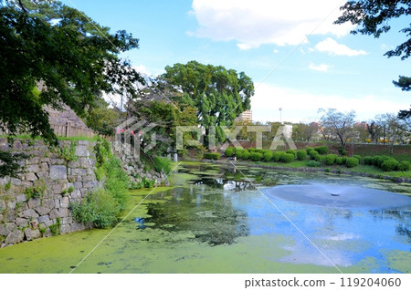 Okazaki Castle Ryujo Moat 119204060