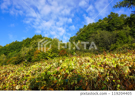 Looking here and there from the Tokachi River riverbed (near the Chiyoda Dam) Looking here and there from the Tokachi River riverbed (near the Chiyoda Dam) 119204405