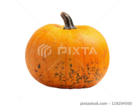 Bright orange pumpkin resting on a white background in preparation for fall decorations 119204500