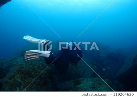 Landscape in the sea 119204620