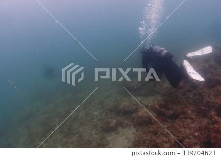 Landscape in the sea 119204621