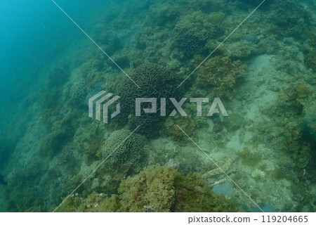 在海中景觀 在海中景觀 119204665