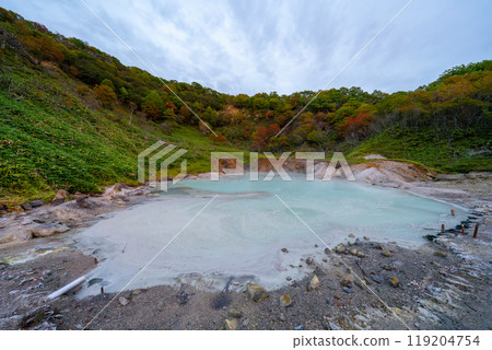 北海道登別溫泉大湯沼風景 北海道登別溫泉大湯沼風景 119204754