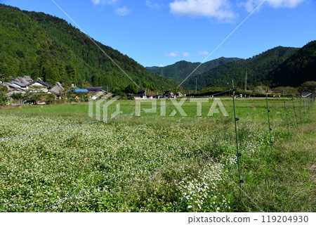 Autumn in Kyoto Miyama, Kayabuki Village 119204930