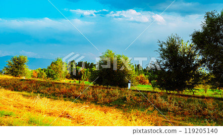 Landscape of Kazakhstan's nature 119205140