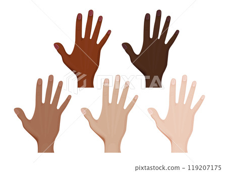 Front side of hands vector illustration design. 119207175