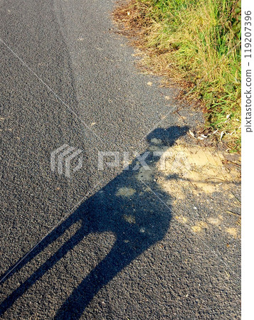 shadow of a dog on the asphalt 119207396