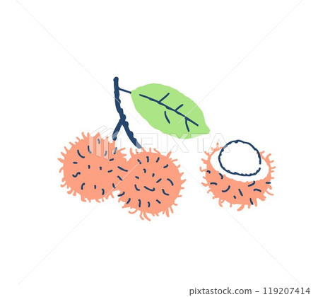 Tropical fruit Rambutan Tropical fruit Rambutan 119207414