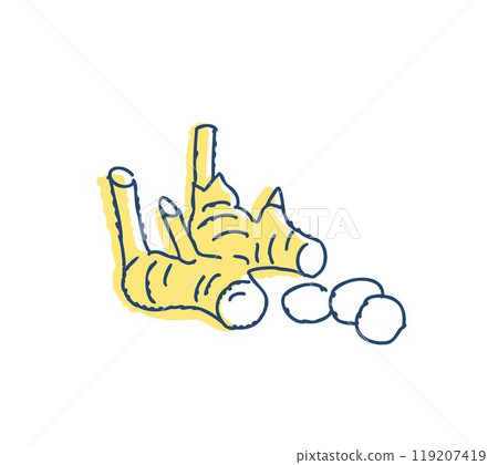 Galangal and ginger Galangal and ginger 119207419