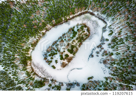 Forest in Estonia with frozen lake, covered with snow, aerial view. Winter seasonal landscape Forest in Estonia with frozen lake, covered with snow, aerial view. Winter seasonal landscape 119207615