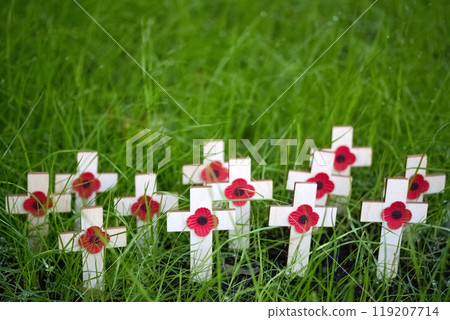 Remembrance day. Memorial Crosses in Grass Remembrance day. Memorial Crosses in Grass 119207714