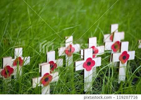 Remembrance day. White crosses with red poppies surrounded by vibrant green grass 119207716