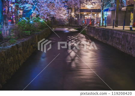 Photographing cherry blossoms at night along Takasegawa River in Kiyamachi, Nakagyo Ward, Kyoto City 119208420