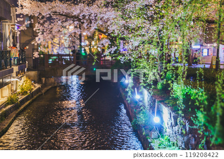 在京都市中京區木屋町高瀨川拍攝夜櫻 119208422