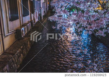 Photographing cherry blossoms at night along Takasegawa River in Kiyamachi, Nakagyo Ward, Kyoto City 119208423