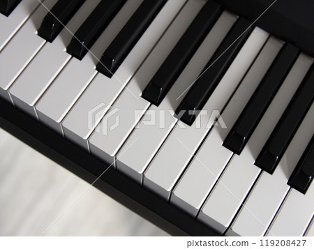 Top view of the piano keys. Monochrome photography. Digital musical instrument Top view of the piano keys. Monochrome photography. Digital musical instrument 119208427