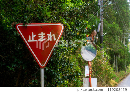 Road signs and markings to prevent traffic accidents Road signs and markings to prevent traffic accidents 119208459