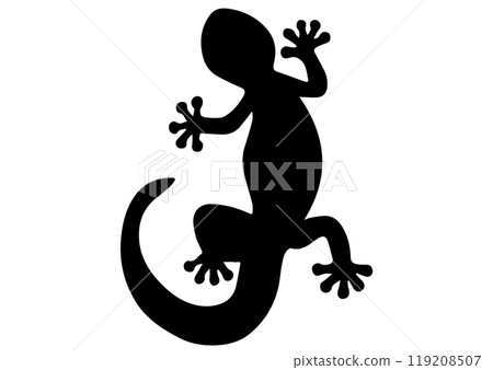 蠑螈壁虎 119208507