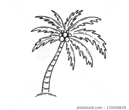 palm, tree, vector 119208638