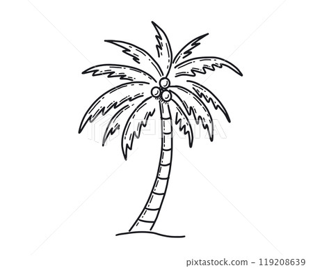 palm, tree, vector 119208639