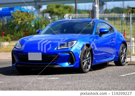 domestic sports car 119209227