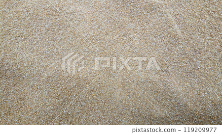 Textured surface of wheat grain 119209977