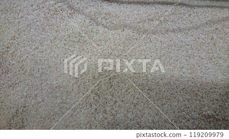 Close-up of raw rice grains. 119209979