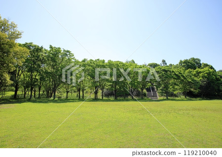 Early summer park, refreshing, wooded area, lawn area Early summer park, refreshing, wooded area, lawn area 119210040