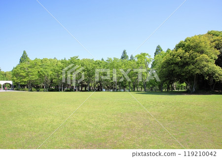 Early summer park, refreshing, wooded area, lawn area 119210042